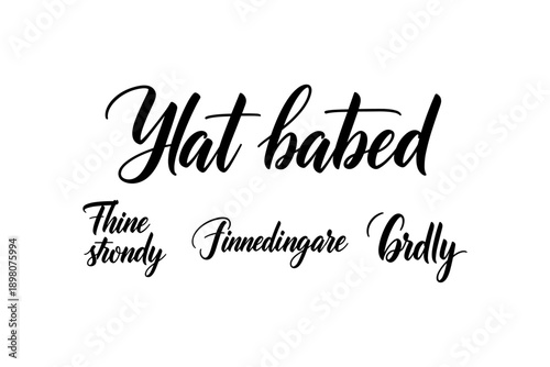 Elegant calligraphy practice words in stylish script design