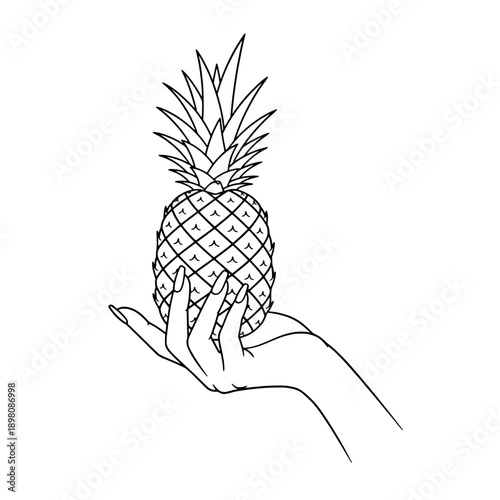 Icon of a woman's hand holding a pineapple, representing concepts of healthy fruits and tropical flavors