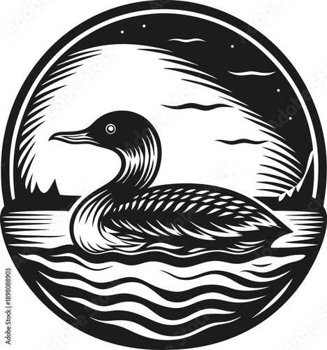 Loon swimming in lake at night, silhouette of bird floating on water with stars and clouds sky