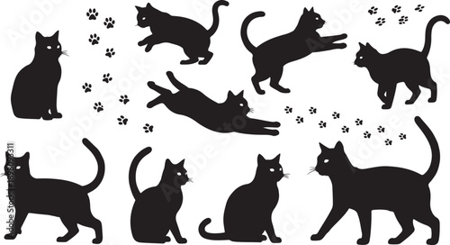 Black silhouette cats in various playful and relaxed positions isolated on white background, Vector