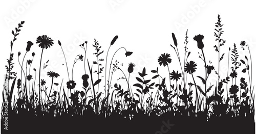 Detailed field flowers silhouette collection with slender stems and delicate leaves on transparent background