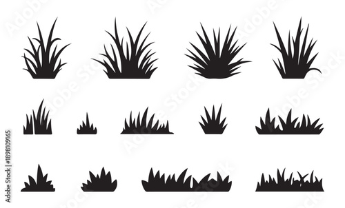 Assortment of black grass tufts and clumps in silhouette isolated on a white background for design