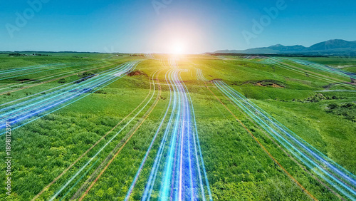 Quadro em tela A band of light running through the grassland - a road leading to the future