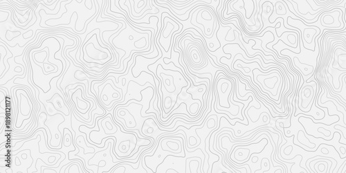 Abstract Topographic Contour Line Pattern with Detailed Terrain Elevation Flow
Modern Geographic Grid Background with Professional Cartography Style Texture