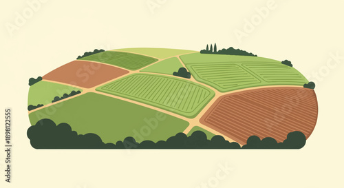 Stylized aerial view of cultivated fields with rows of crops and pathways
