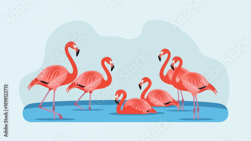 Several coral pink flamingos stand and sit in shallow blue water against a light blue backdrop