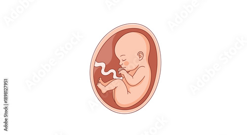 A charming illustration of a serene baby peacefully sleeping inside the womb, symbolizing new beginnings and the miracle of life in a nurturing environment