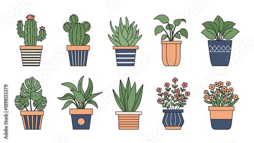 Set of ten stylish house plants in decorative pots including various cacti, succulents, and leafy indoor plants.
