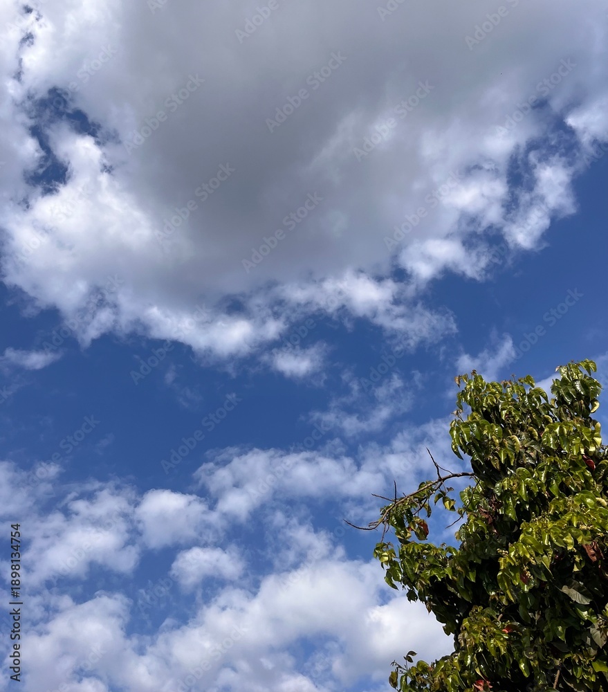 Obraz premium clouds and sky