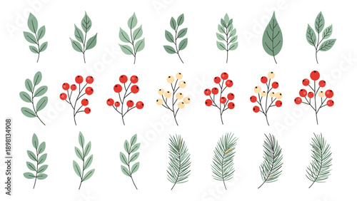 Collection of various green leaves red and white berries and pine branches for winter and Christmas holiday decorations.