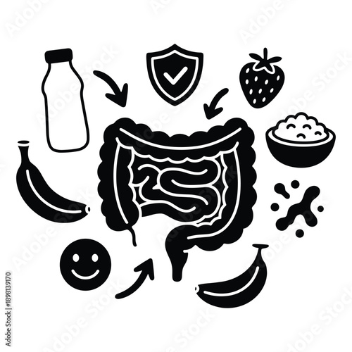 Gut health and digestive system diagram with healthy food and probiotics for wellness