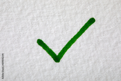 Close-up of green check mark on white paper