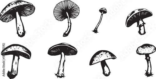 A set of mushrooms. Hand drawn vector illustration