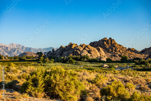 USA, California, Lone Pine, Rock formations and bushes on sunny day
