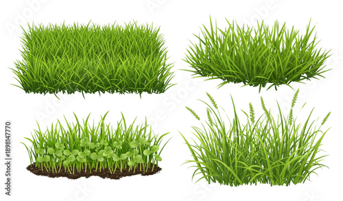 Lush green grass patches realistic vector set isolated on transparent background