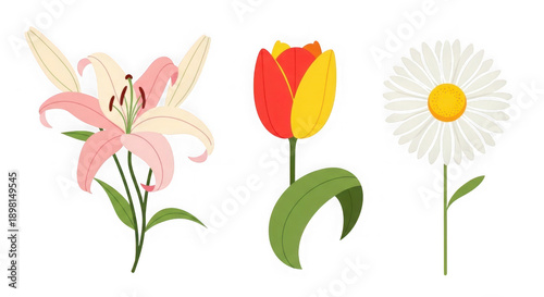 Wallpaper Mural Pink Lily Red Tulip White Daisy Flat Design Flowers Illustration Torontodigital.ca