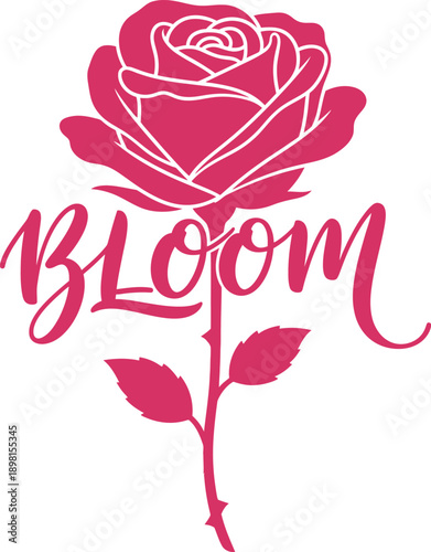 Bloom rose floral typography design vector illustration for spring nature garden beauty and feminine fashion apparel on transparent background.