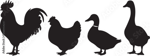 four animal silhouettes rooster hen duck goose