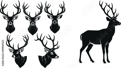 Deer Silhouette Vector Illustration Set with Stag Head Logos and Full Body Buck in Black Outline Style for Hunting, Wildlife, and Rustic Design Projects