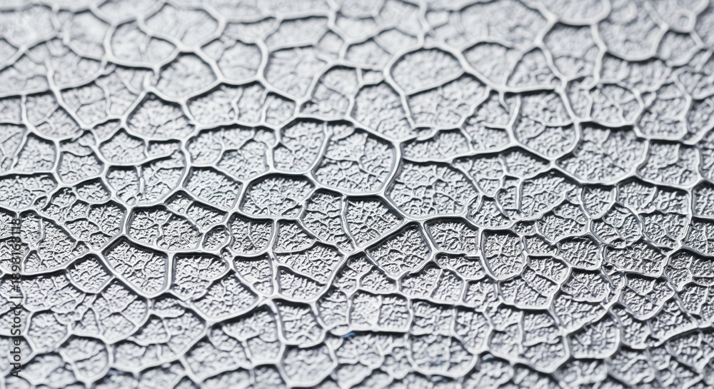 Fototapeta premium Detailed white cracked texture background