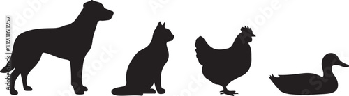 four animal silhouettes dog cat chicken duck
