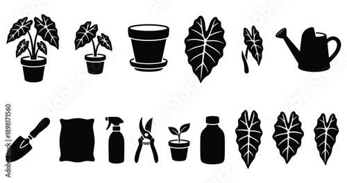 Plant care and gardening elements. potted plants shovel soil sprayer pruner bottle leaves