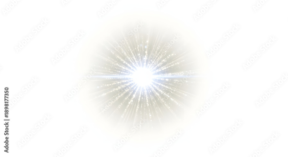 Fototapeta premium Glowing dandelion on black background