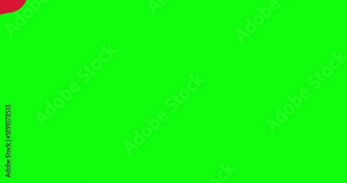 Smooth red and white liquid wave transition on green screen. Abstract colorful wipe effect for creative video editing and transitions