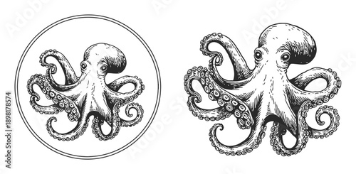 Vintage Octopus Circular Emblem and Full Body