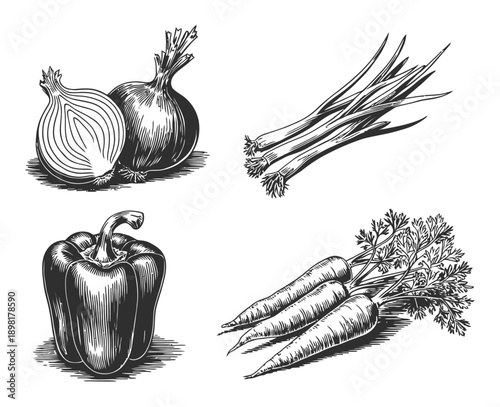 Vintage Engraving Style of Fresh Vegetables: Onions, Bell Pepper, Carrots, and Scallions