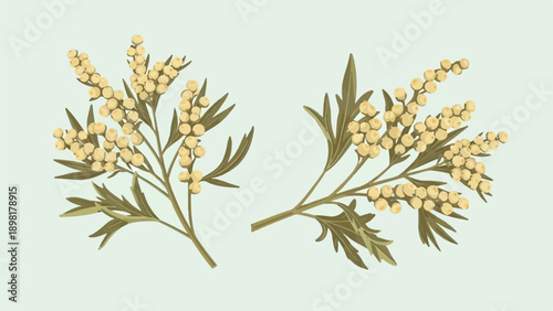 Two branches with delicate, small yellow berries and green leaves