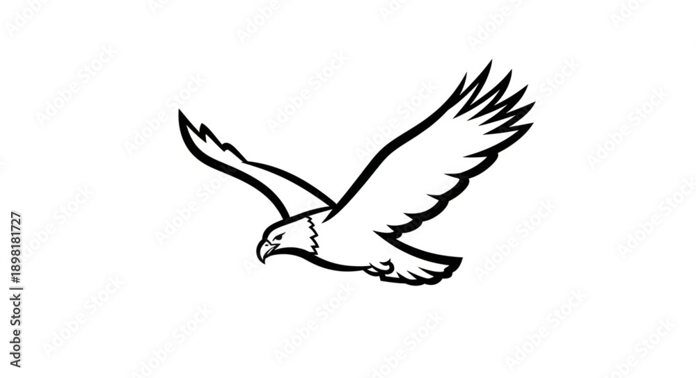 Obraz premium Eagle in flight drawing illustration.