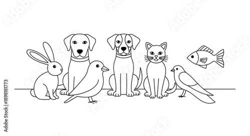 Collection of Hand Drawn Animals in Black and White.