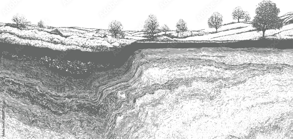 Fototapeta premium Cross section of layered earth and rolling hills with trees under a white sky layers soil