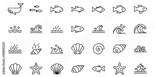 Collection of ocean creatures and seashells illustrated in a simple line art style, showcasing marine life and beach elements.