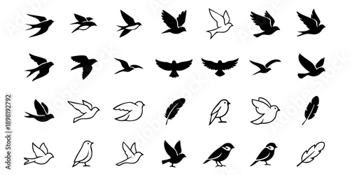 Collection of various bird silhouettes and feather illustrations in different poses and flight patterns displayed together