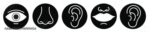 Explore simplified human senses eye nose mouth ears for educational learning. Explore human senses  showing sight, sound, speech, and touch, essential human sense of hearing vector illustration.