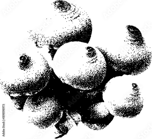 Ethereal Artistry: The Puffball Bunch