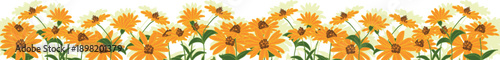 Yellow daisy pattern. Beautiful bloom. Flowers like a ribbon.