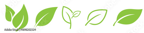 Set of green leaf icons. Leaves of trees and plants. Leaves icon. Collection green leaf. Elements design for natural, eco, bio, vegan labels. 