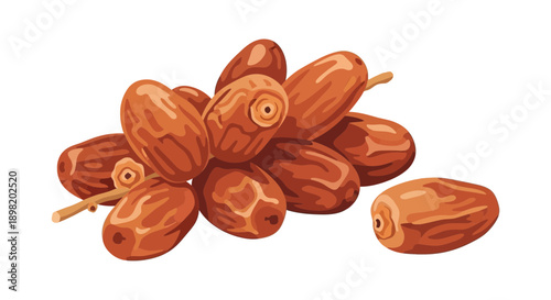 Dried Date Palm Fruits Bunch Isolated on White Background Vector Illustration