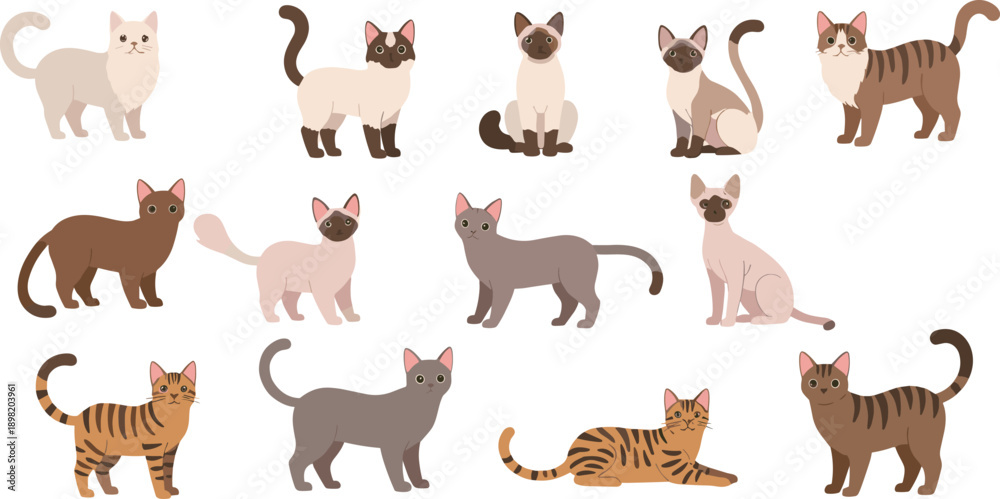 Fototapeta premium Cute Cat Breed Cartoon Characters Vector Set with Sitting Standing and Lying Poses
