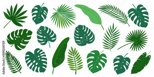 Collection of vibrant green tropical leaves on a white background