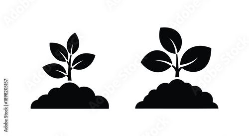 Two plant sprouts growing from soil a striking black silhouette