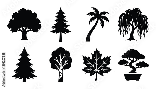Variety of tree silhouettes including oak, pine, palm, willow, maple, birch and bonsai trees.