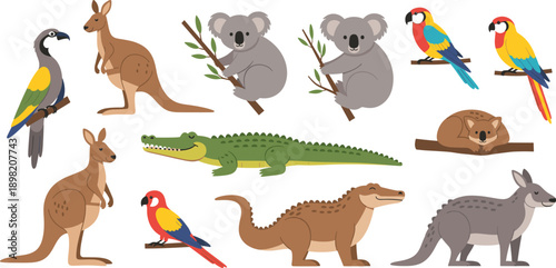 Australian Wildlife Cartoon Vector Set with Kangaroo Koala Crocodile Parrot and Native Animals