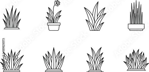 Minimalist plant and grass line art icon set featuring various potted plants and garden shrubs for nature-themed designs.