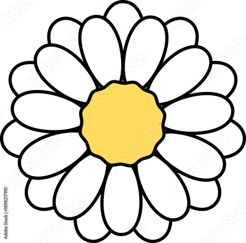 Detailed White Daisy Flower Head Illustration