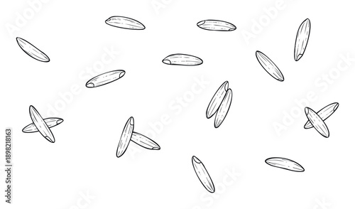 Organic food grains scattered in various orientations, perfect for culinary projects, healthy lifestyle promotions, cooking blogs, restaurant menus, or ingredient displays