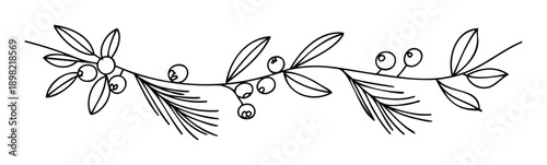 Black outline botanical drawing of a festive winter branch with leaves, berries, and pine needles perfect for holiday greetings, wedding invitations, and seasonal decorations.